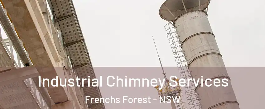 Industrial Chimney Services Frenchs Forest - NSW
