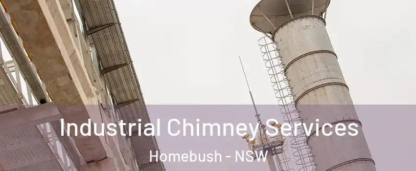 Industrial Chimney Services Homebush - NSW