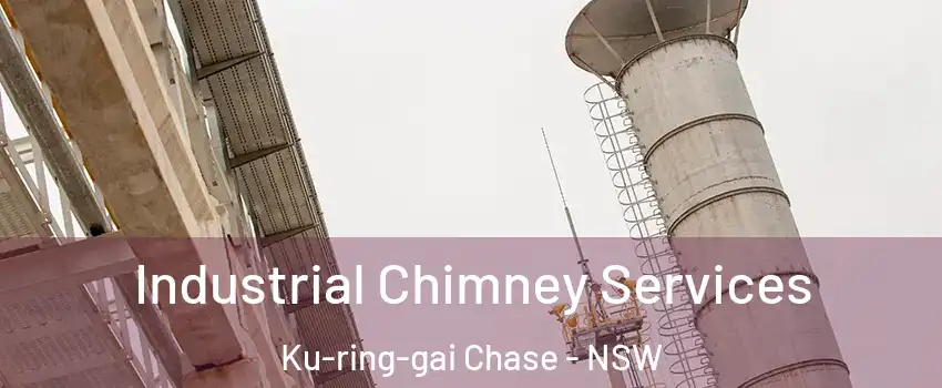Industrial Chimney Services Ku-ring-gai Chase - NSW