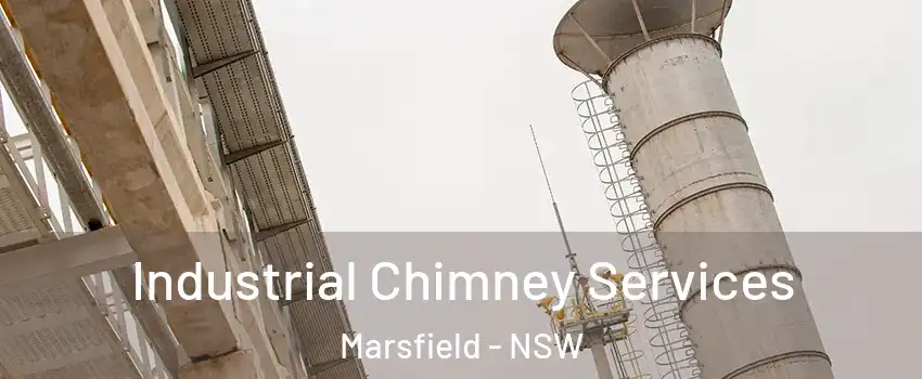Industrial Chimney Services Marsfield - NSW