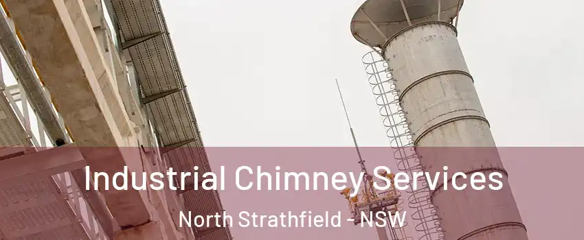 Industrial Chimney Services North Strathfield - NSW