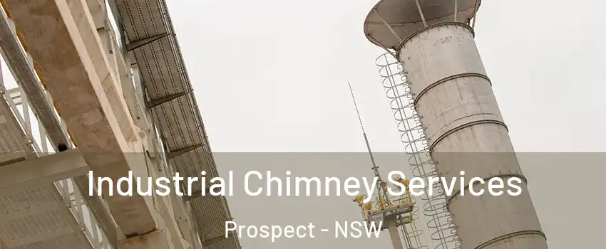 Industrial Chimney Services Prospect - NSW