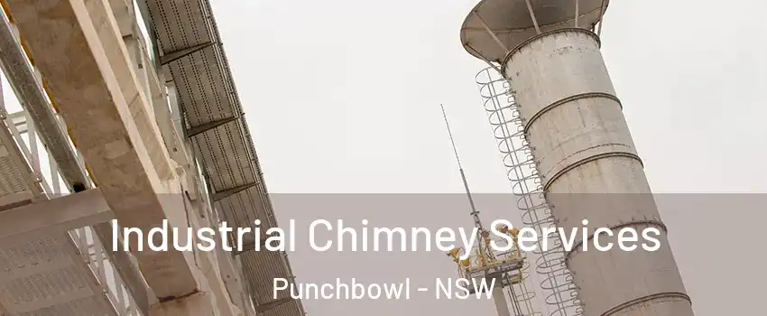 Industrial Chimney Services Punchbowl - NSW