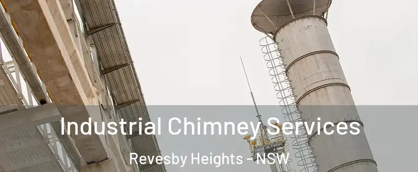 Industrial Chimney Services Revesby Heights - NSW