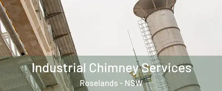Industrial Chimney Services Roselands - NSW