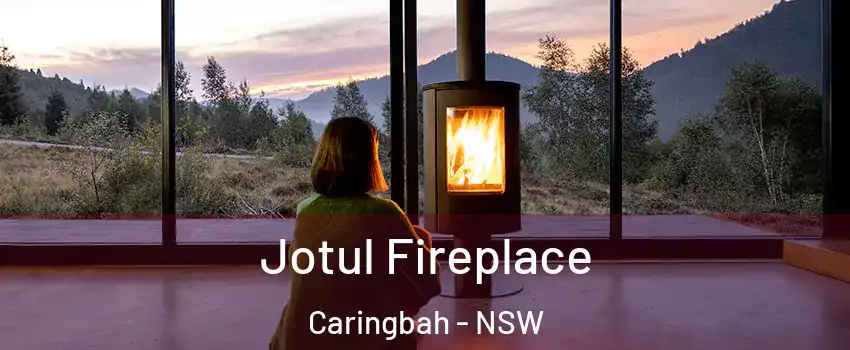 Jotul Fireplace Caringbah - NSW