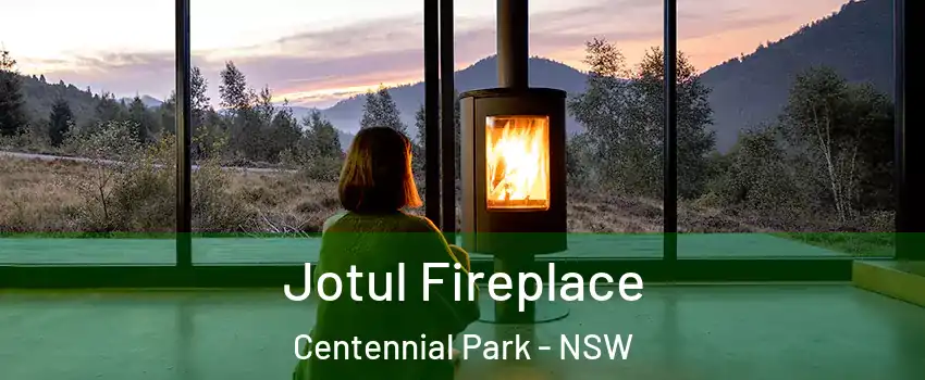 Jotul Fireplace Centennial Park - NSW