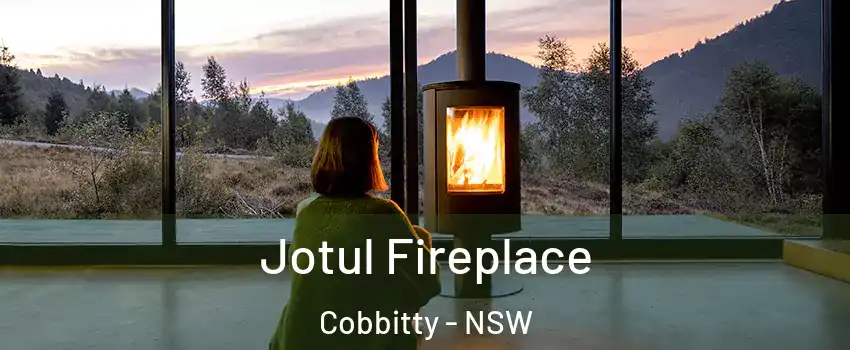  Jotul Fireplace Cobbitty - NSW