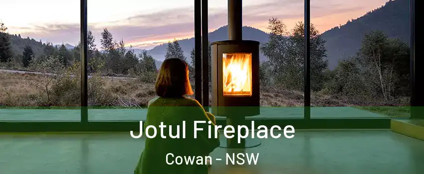  Jotul Fireplace Cowan - NSW