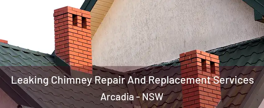 Leaking Chimney Repair And Replacement Services Arcadia - NSW