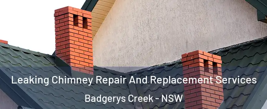 Leaking Chimney Repair And Replacement Services Badgerys Creek - NSW