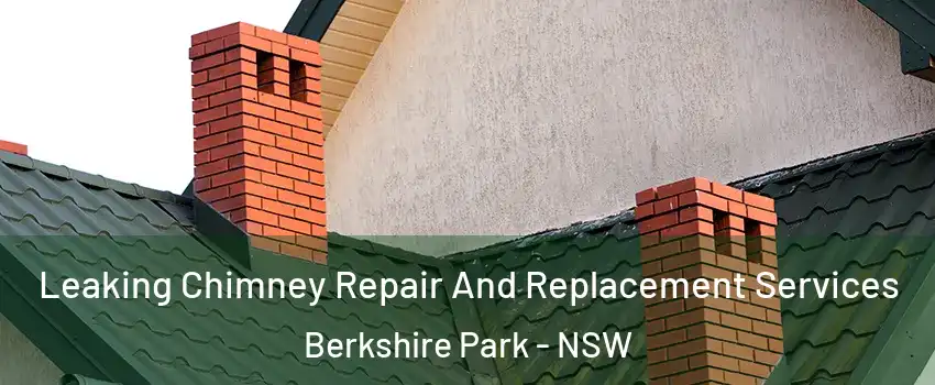 Leaking Chimney Repair And Replacement Services Berkshire Park - NSW
