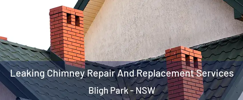 Leaking Chimney Repair And Replacement Services Bligh Park - NSW