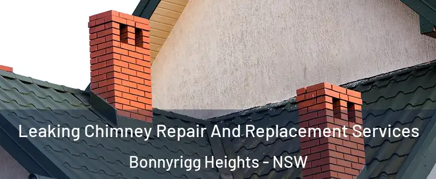Leaking Chimney Repair And Replacement Services Bonnyrigg Heights - NSW