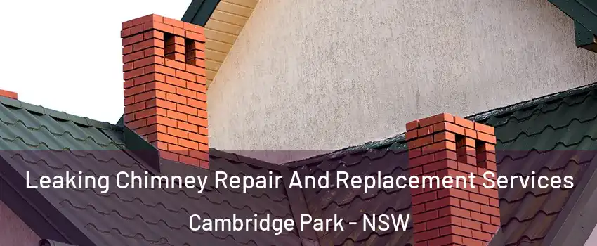 Leaking Chimney Repair And Replacement Services Cambridge Park - NSW