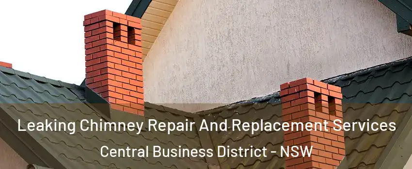 Leaking Chimney Repair And Replacement Services Central Business District - NSW