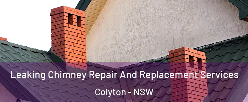 Leaking Chimney Repair And Replacement Services Colyton - NSW