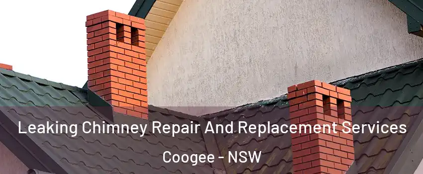 Leaking Chimney Repair And Replacement Services Coogee - NSW