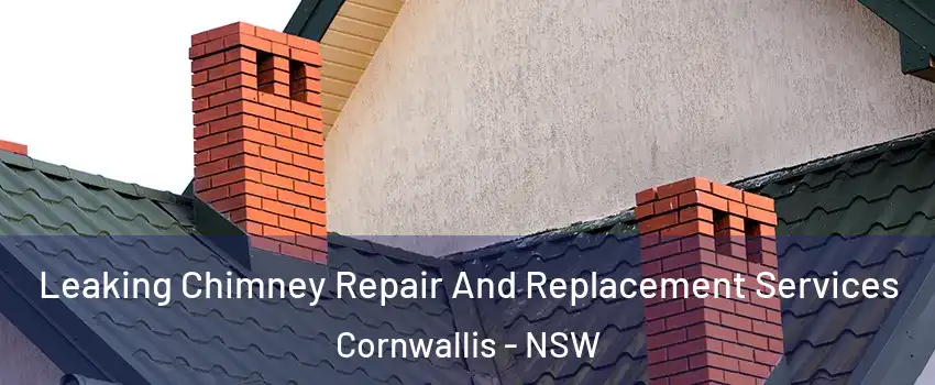 Leaking Chimney Repair And Replacement Services Cornwallis - NSW