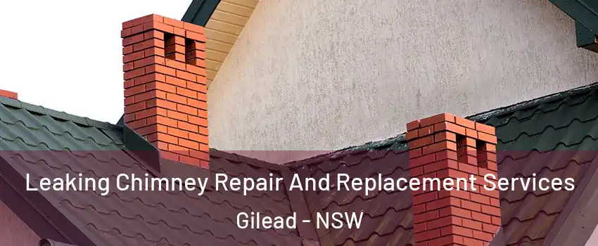 Leaking Chimney Repair And Replacement Services Gilead - NSW