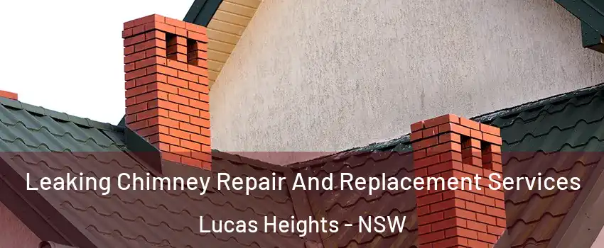 Leaking Chimney Repair And Replacement Services Lucas Heights - NSW