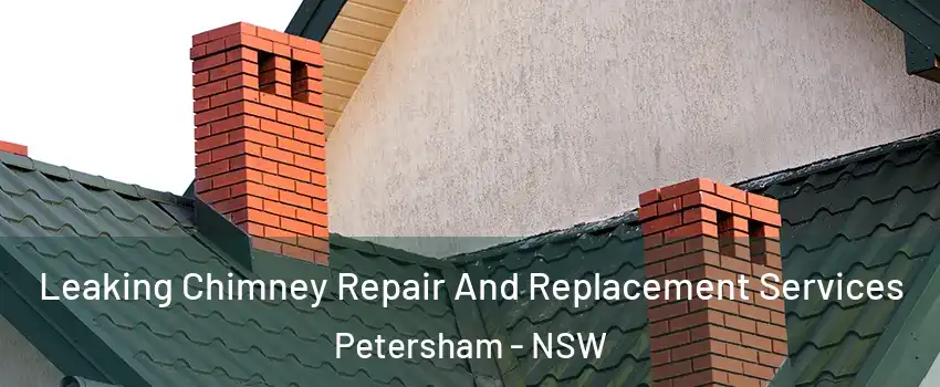 Leaking Chimney Repair And Replacement Services Petersham - NSW