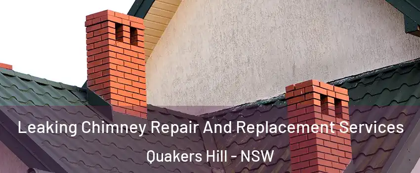 Leaking Chimney Repair And Replacement Services Quakers Hill - NSW