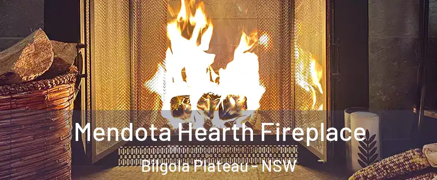 Mendota Hearth Fireplace Bilgola Plateau - NSW