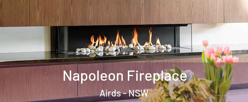 Napoleon Fireplace Airds - NSW