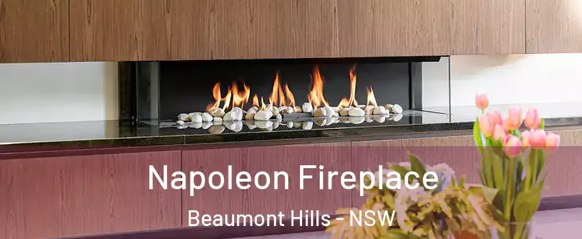 Napoleon Fireplace Beaumont Hills - NSW