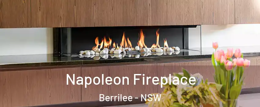  Napoleon Fireplace Berrilee - NSW