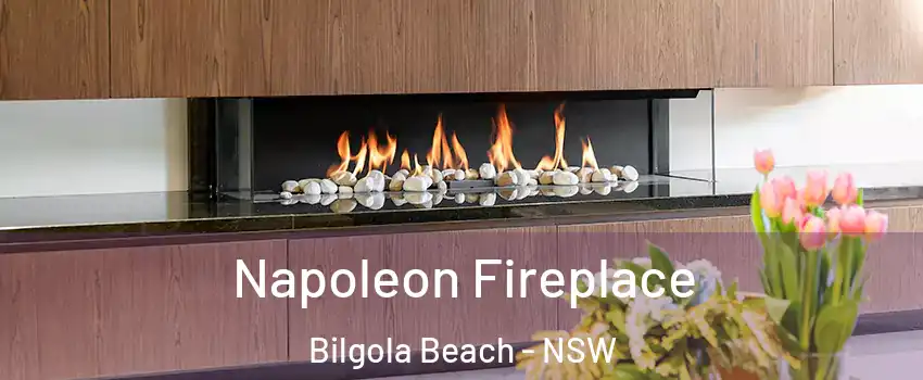 Napoleon Fireplace Bilgola Beach - NSW