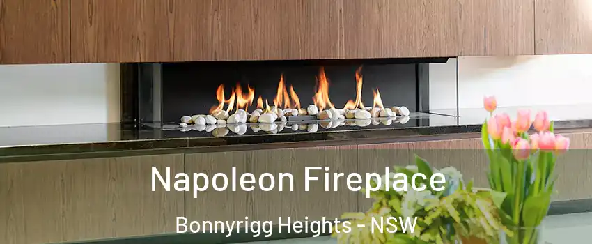 Napoleon Fireplace Bonnyrigg Heights - NSW