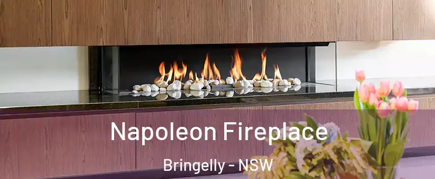 Napoleon Fireplace Bringelly - NSW