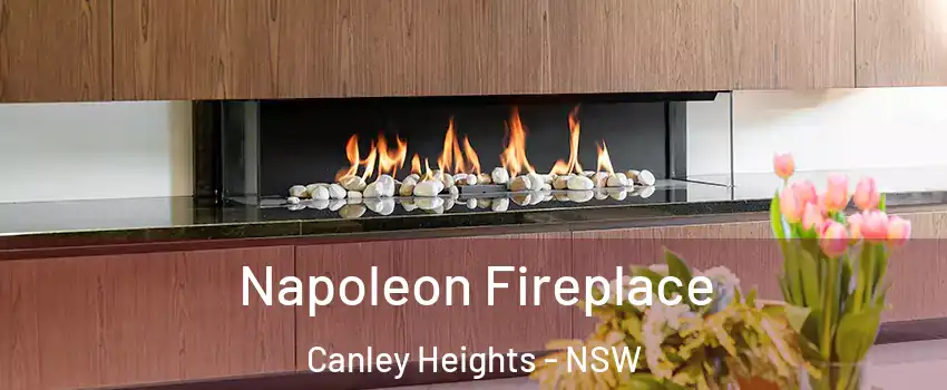 Napoleon Fireplace Canley Heights - NSW