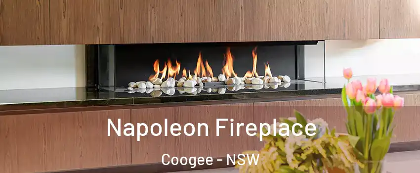 Napoleon Fireplace Coogee - NSW