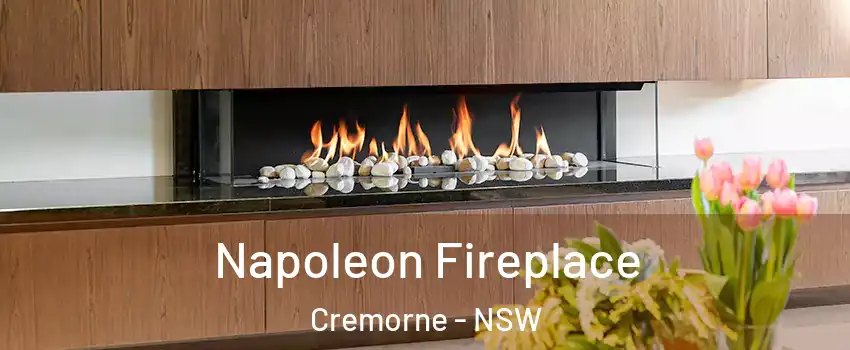 Napoleon Fireplace Cremorne - NSW
