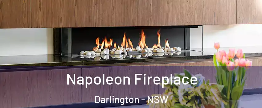  Napoleon Fireplace Darlington - NSW