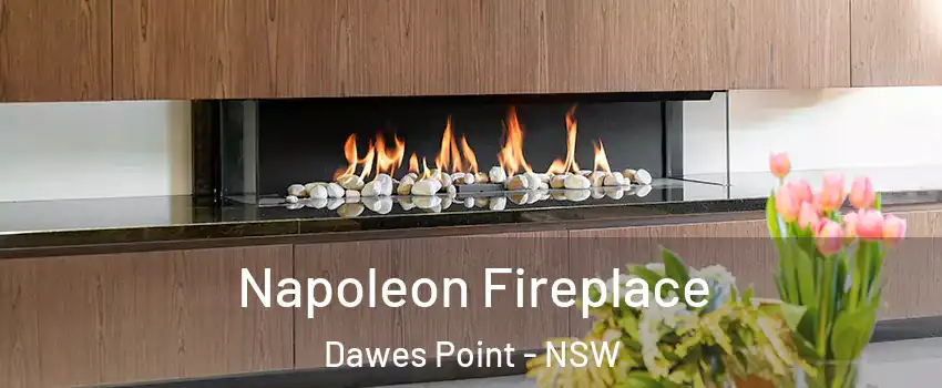Napoleon Fireplace Dawes Point - NSW