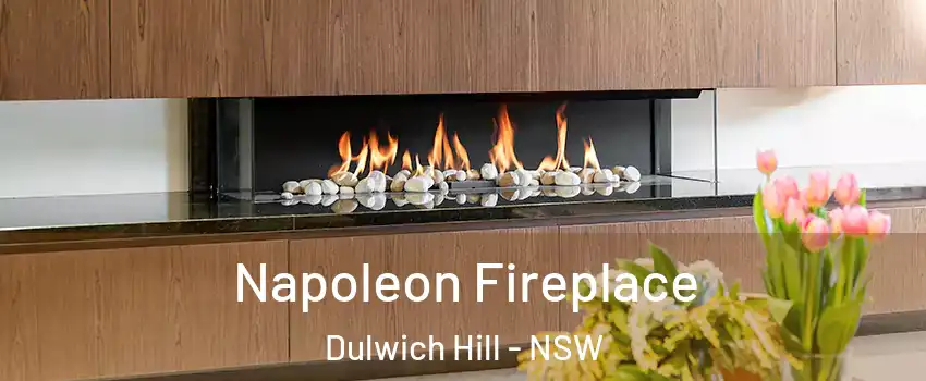Napoleon Fireplace Dulwich Hill - NSW