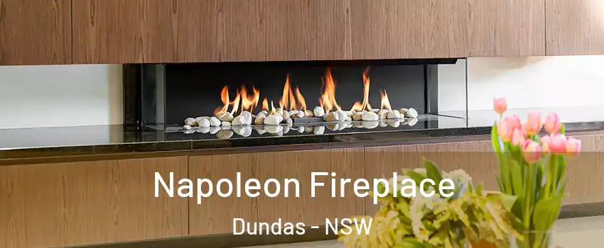 Napoleon Fireplace Dundas - NSW