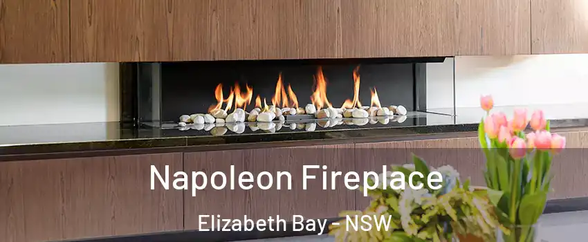 Napoleon Fireplace Elizabeth Bay - NSW
