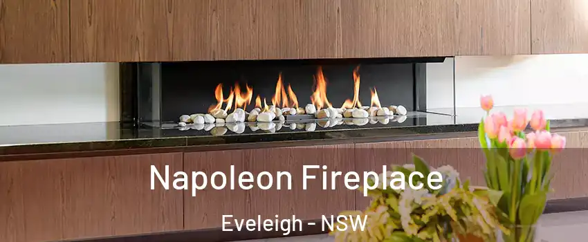 Napoleon Fireplace Eveleigh - NSW