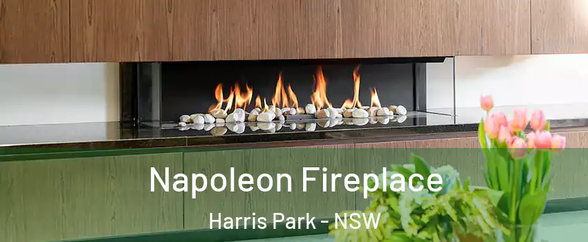 Napoleon Fireplace Harris Park - NSW