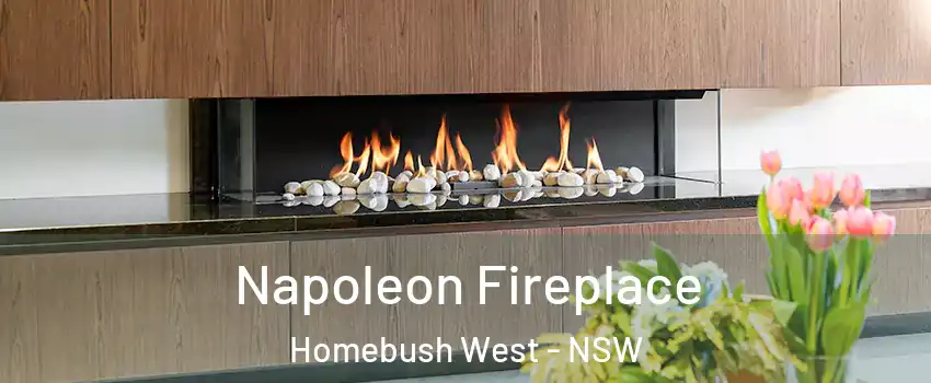 Napoleon Fireplace Homebush West - NSW