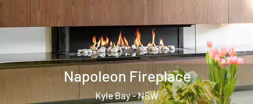 Napoleon Fireplace Kyle Bay - NSW