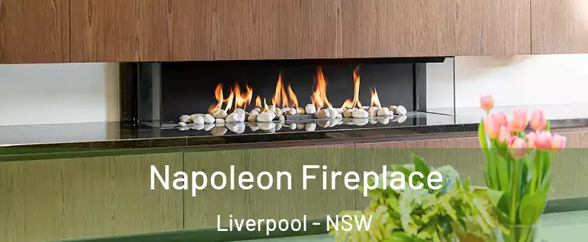 Napoleon Fireplace Liverpool - NSW