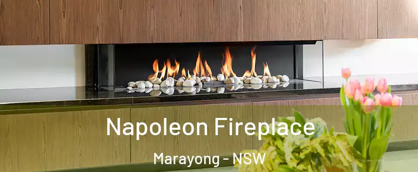 Napoleon Fireplace Marayong - NSW