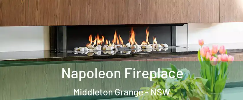 Napoleon Fireplace Middleton Grange - NSW