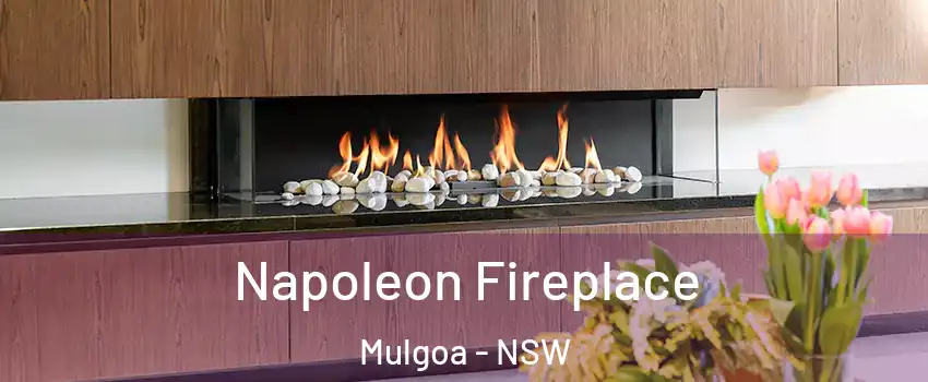 Napoleon Fireplace Mulgoa - NSW